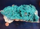 Chrysocolle-1