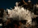 Aragonite et calcite -2