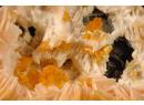 Wulfenite, Baryte, Cerusite -4