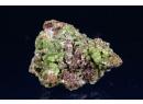 Pyromorphite - Les Farges - Ussel - 08