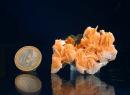 Wulfenite, Baryte -10