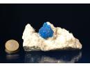 Cavansite - exceptionnel specimen - Poona - Inde