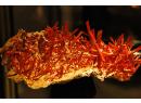 Crocoite - Adelaide Mine - Tasmanie