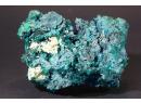 Dioptase, chrysochole (planchite?)- Mindouli - Rpublique Dmocratique du Congo