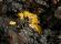 Photo 5/7 : Kasolite