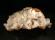 Photo 1/3 : Hemimorphite - Chihuahua