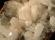 Photo 2/3 : Hemimorphite - Chihuahua