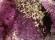 Photo 1/3 : Fluorine - Fontsante -4