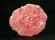 Photo 1/4 : Rhodochrosite et fluorite