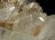 Photo 5/6 : Goschenite - beryl