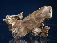 Photo 1/4 : Meteorite  Sikhote-Alin